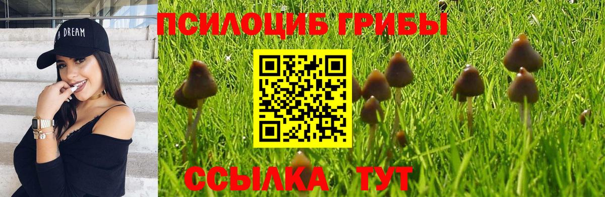 Галлюциногенные грибы мицелий Тихорецк